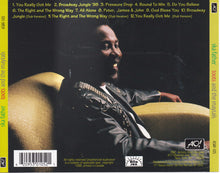 Load image into Gallery viewer, Toots And The Maytals* : Ska Father (CD, Album)