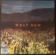 Load image into Gallery viewer, Brittany Howard : What Now (LP, Album, Yel)
