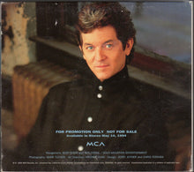 Load image into Gallery viewer, Rodney Crowell : Let The Picture Paint Itself (CD, Advance, Album, Promo, dig)