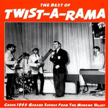 Load image into Gallery viewer, Various : The Best Of Twist-A-Rama (CD, Comp, RE)