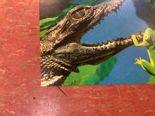 Load image into Gallery viewer, Funky Meters at The Fillmore - 1998 (Poster)