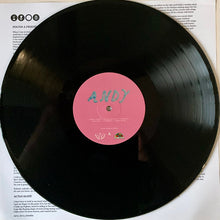 Load image into Gallery viewer, Pelvis Wrestley : Andy, Or: The Four Horsegirls Of The Apocalypse (LP, Album, Ltd)
