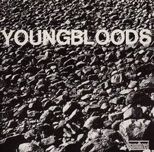 Load image into Gallery viewer, The Youngbloods : Rock Festival (CD, Album)