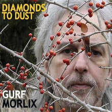 Load image into Gallery viewer, Gurf Morlix : Diamonds To Dust (CD, Album)