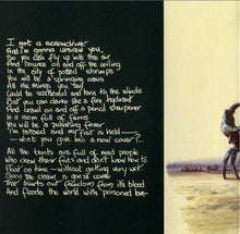 Load image into Gallery viewer, Robyn Hitchcock : Invisible History (CD, Comp, Unofficial)