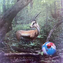 Load image into Gallery viewer, Spoon : They Want My Soul: Deluxe More Soul Edition (LP, Album, RE, RM + LP + Dlx, Gat)