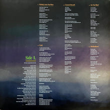 Load image into Gallery viewer, Kim Deal : Nobody Loves You More (LP, Album)