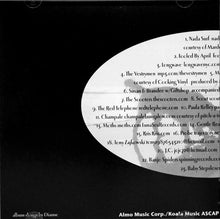 Load image into Gallery viewer, Various : A Tribute To Big Star (Additional Songs By Chris Bell) (CD, Album)