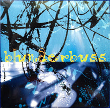 Load image into Gallery viewer, Teddy Thompson : Blunderbuss (CD, EP)