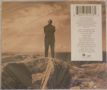 Load image into Gallery viewer, The Cranberries : No Need To Argue (CD, RM, 30t)