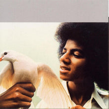 Load image into Gallery viewer, Michael Jackson : The Best Of Michael Jackson (CD, Comp, RM)