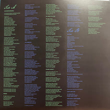 Load image into Gallery viewer, Big Thief : Double Infinity (LP, Album, Ltd, Gre)