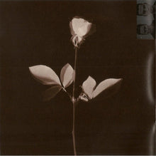 Load image into Gallery viewer, Depeche Mode : Violator (CD, Album, Club, BMG)