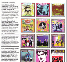 Load image into Gallery viewer, Various : The Essential Pebbles Collection - Volume One (2xCD, Comp, Unofficial)