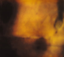 Load image into Gallery viewer, Pearl Jam : Riot Act (CD, Album, Dig)