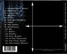 Load image into Gallery viewer, The Chris Shahin Band : Left Of Center (CD, Album)