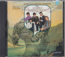 Load image into Gallery viewer, The Buckinghams : In One Ear And Gone Tomorrow (CD, Album, RE)