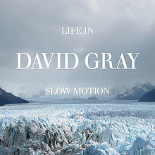 Load image into Gallery viewer, David Gray : Life In Slow Motion (Hybrid, DualDisc, NTSC)