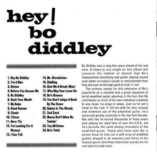 Load image into Gallery viewer, Bo Diddley : Hey! Bo Diddley / Bo Diddley (CD, Comp)