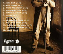 Load image into Gallery viewer, Hayseed : Melic (CD, Album)