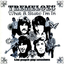 Load image into Gallery viewer, Tremeloes* : What A State I'm In (CD, Comp, RM)