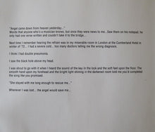 Load image into Gallery viewer, Eric Burdon : Lost Within The Halls Of Fame (CD, Album)