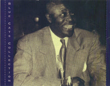 Load image into Gallery viewer, Kokomo Arnold : Old Original Kokomo Blues (CD, Comp)