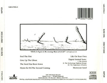 Load image into Gallery viewer, Blind Owl (2) : Debut At Dusk (CD, Album)