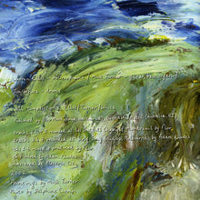 Load image into Gallery viewer, Dirty Three : She Has No Strings Apollo (CD, Album)