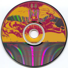 Load image into Gallery viewer, Lenny Kravitz : Are You Gonna Go My Way (CD, Album)