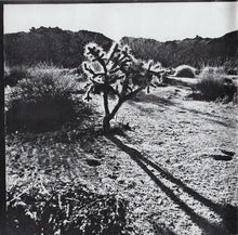 Load image into Gallery viewer, The Flying Burrito Bros : California Jukebox (CD, Album)