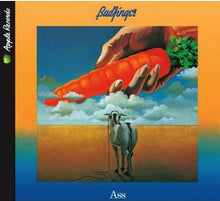 Load image into Gallery viewer, Badfinger : Ass (CD, Album, RE, RM, Dig)