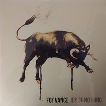 Load image into Gallery viewer, Foy Vance : Joy Of Nothing (LP, Album)