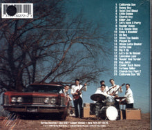 Load image into Gallery viewer, The Rivieras : California Sun: The Best Of The Rivieras (CD, Comp)