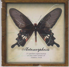 Load image into Gallery viewer, Various : Metamorphosis (CD, Comp)