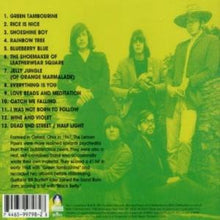 Load image into Gallery viewer, Lemon Pipers* : The Best Of The Lemon Pipers: Green Tambourine (CD, Comp)