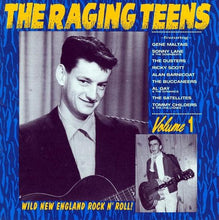 Load image into Gallery viewer, Various : The Raging Teens Volume 1 (CD, Comp)