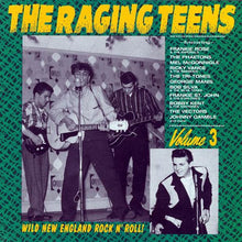 Load image into Gallery viewer, Various : The Raging Teens Volume 3 (CD, Comp)