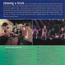 Load image into Gallery viewer, The Trash Can Sinatras : Chewing A Brick | Live Recordings (2xCD)