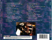 Load image into Gallery viewer, Lanny Cordola : Electric Warrior Acoustic Saint (CD, Album)