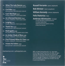 Load image into Gallery viewer, Yellowjackets : A Rise In The Road (CD, Album)