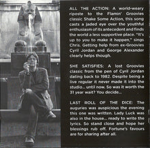 Load image into Gallery viewer, Chris Wilson (3) : It's Flamin' Groovy (CD, Album)