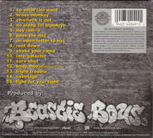 Load image into Gallery viewer, Beastie Boys : Solid Gold Hits (CD, Comp, Dig)