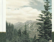 Load image into Gallery viewer, Lisa Loeb : The Way It Really Is (CD, Album)