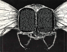 Load image into Gallery viewer, Richard Thompson : Henry The Human Fly (CD, Album, RE)