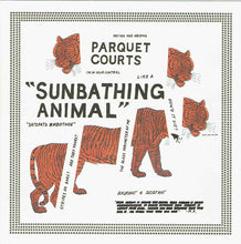 Load image into Gallery viewer, Parquet Courts : Sunbathing Animal (CD, Album)