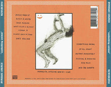Load image into Gallery viewer, Parquet Courts : Sunbathing Animal (CD, Album)