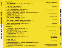 Load image into Gallery viewer, Various : Peel Out In The States Programs 15&16 (CD, Comp, Promo, Transcription)