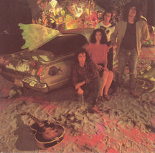 Load image into Gallery viewer, Giant Sand : The Love Songs (CD, Album)