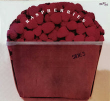 Load image into Gallery viewer, Raspberries : Side 3 (CD, Album, Dig)